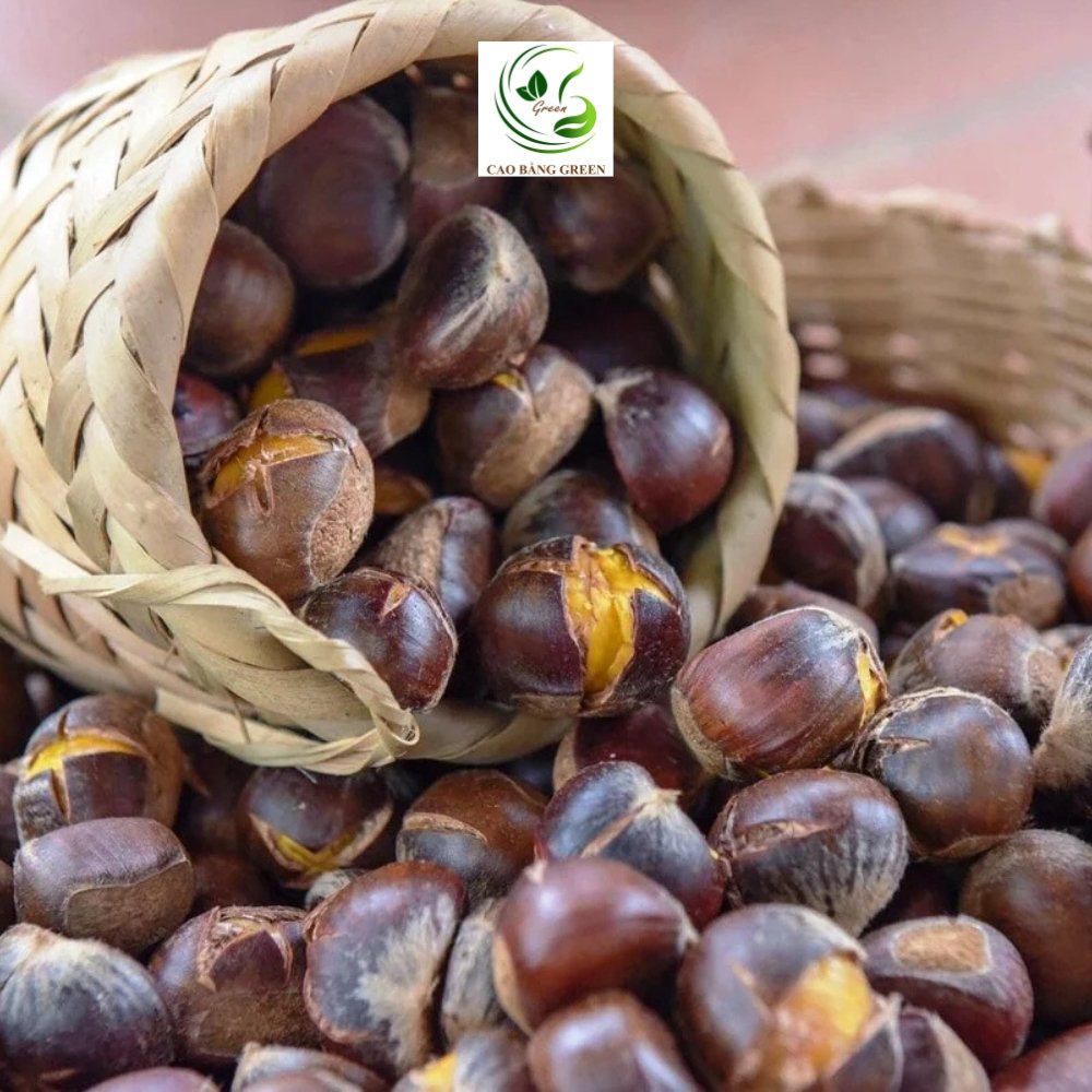 Hạt Dẻ Trùng Khánh – 1 Kg 13 hat de trung khanh cao bang 5