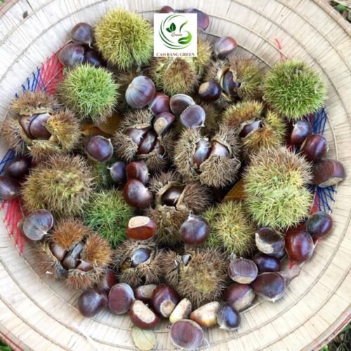 Sản phẩm Hạt dẻ Trùng Khánh Cao Bằng tại CB Green.
