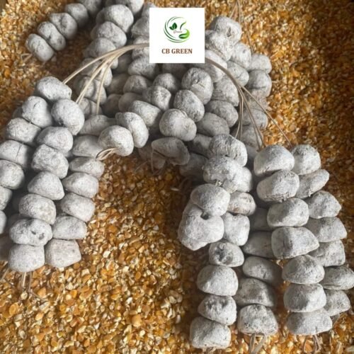 Rượu Ngô Men Lá Cao Bằng – Tinh Hoa Rượu Truyền Thống 19 ruou ngo 1