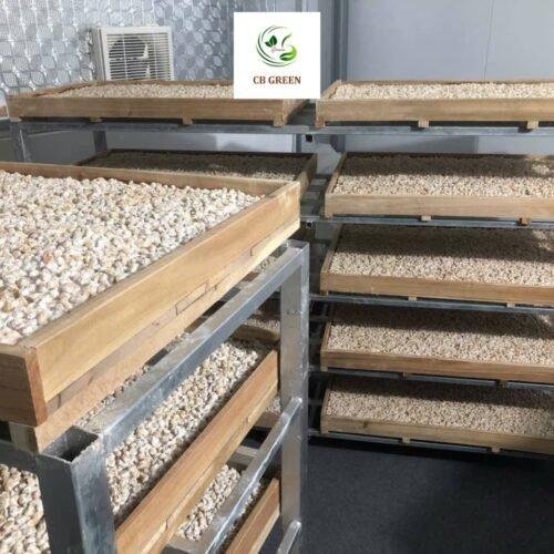 Rượu Ngô Men Lá Cao Bằng – Tinh Hoa Rượu Truyền Thống 15 ruou ngo 9