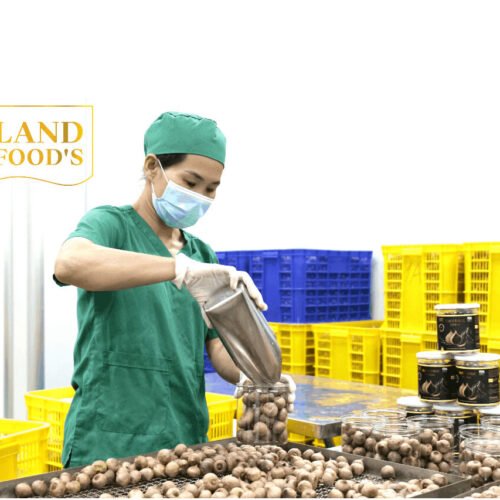 Tỏi Đen Cao Cấp LANDFOOD'S Xuất Khẩu 13 toi den 2 e1744783843876