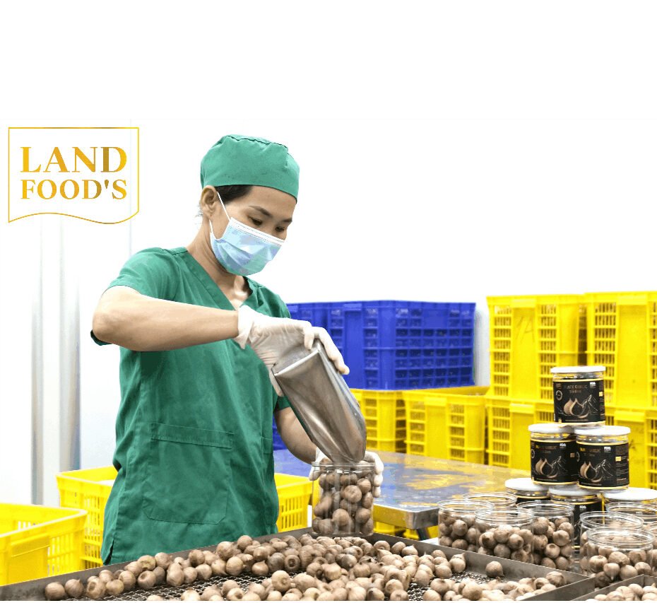 Tỏi Đen Cao Cấp LANDFOOD'S Xuất Khẩu 20 toi den 2 e1744783843876