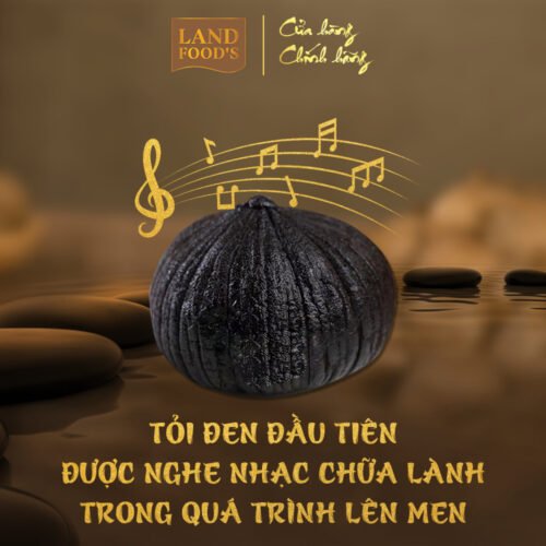 Tỏi Đen Cao Cấp LANDFOOD'S Xuất Khẩu 9 toi den 4