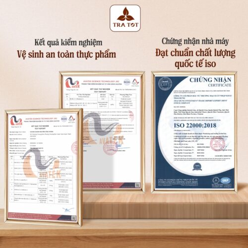 Trà Táo Xanh Búp Ổi 7 Vị - Giảm Cân, Tiêu Mỡ, Detox, Sáng Da 13 tra tao xanh bup oi 4