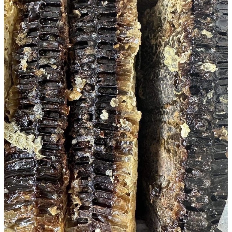 Mật Ong Đắng Rừng Tây Bắc – Tăng Cường Sức Khỏe Tự Nhiên 4 Mật ong đắng