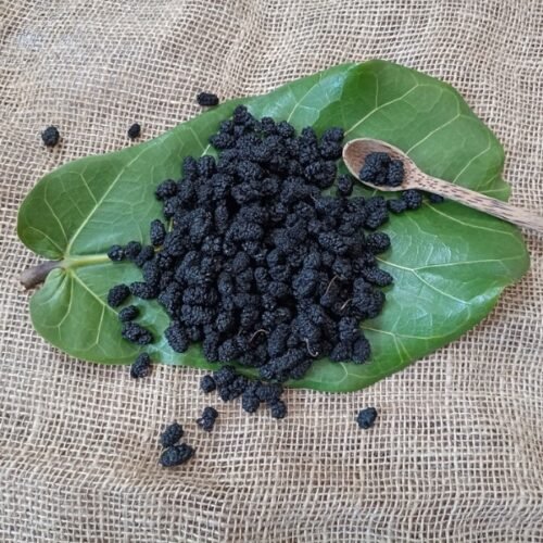 Hắc Kỷ Tử – Siêu Thực Phẩm Từ Tây Tạng 5 Hắc kỷ tử