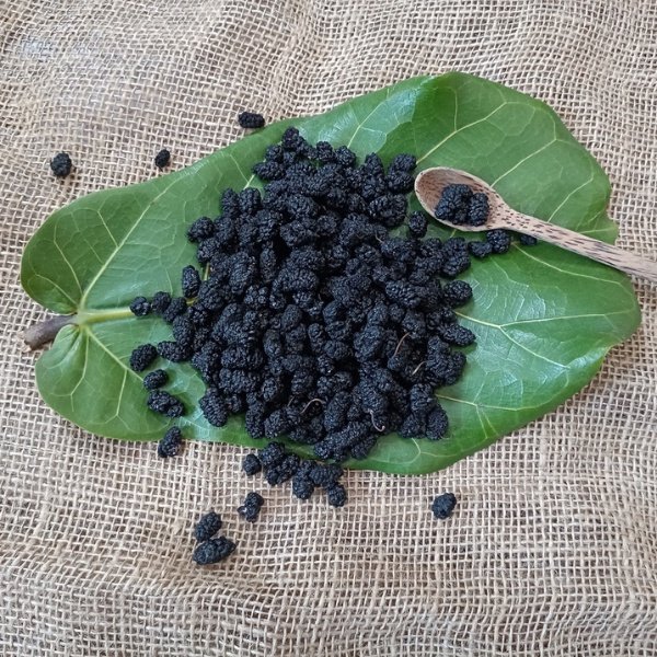 Hắc Kỷ Tử – Siêu Thực Phẩm Từ Tây Tạng 3 Hắc kỷ tử