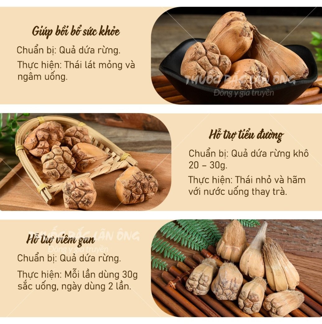 Quả Dứa Rừng 15 Cách dùng quả dứa rừng