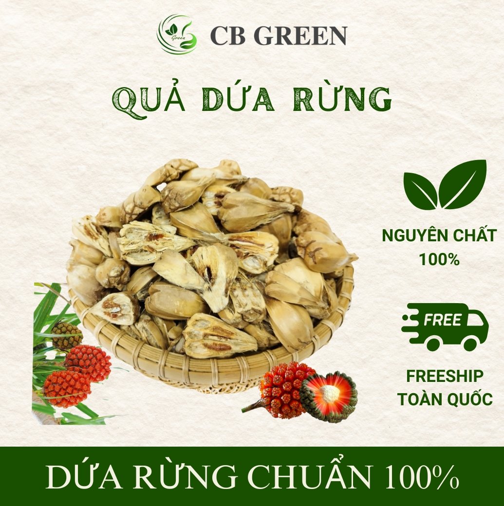 Quả Dứa Rừng 12 Quả dứa rừng (dứa dại) tại CB Green.