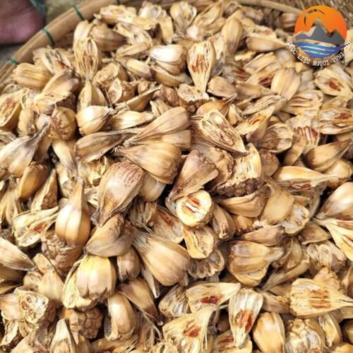 Quả Dứa Rừng 7 Quả dứa rừng (dứa dại) tại CB Green.