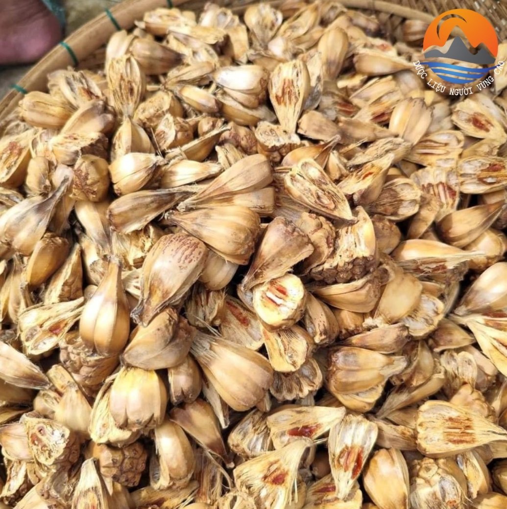 Quả Dứa Rừng 2 Quả dứa rừng (dứa dại) tại CB Green.