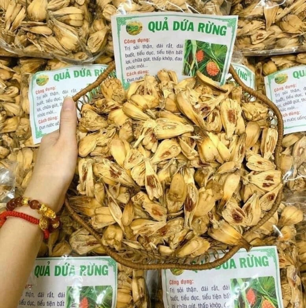 Quả Dứa Rừng 16 Quả dứa rừng (dứa dại) tại CB Green.