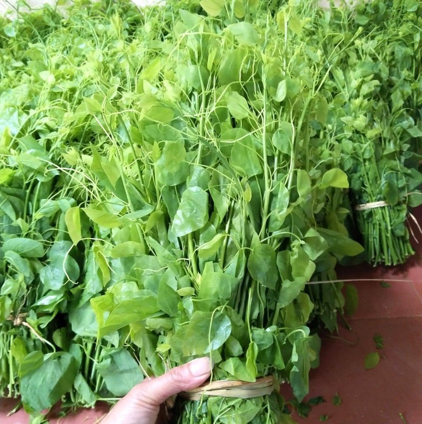 Rau Dạ Hiến - 3 Bó 9 Thành phần dinh dưỡng của rau dạ hiến