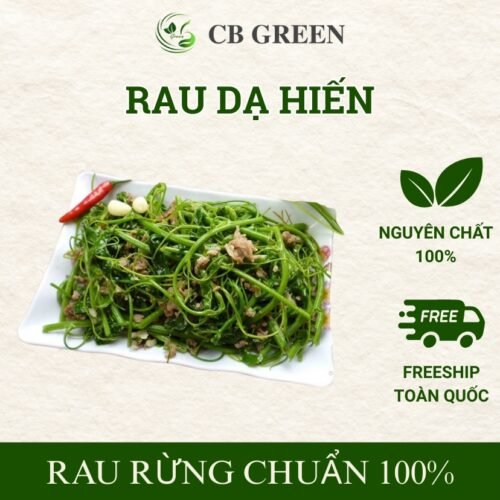 Đặc sản Rau dạ hiến hay còn gọi là rau bò khai tạo Cao Bằng.