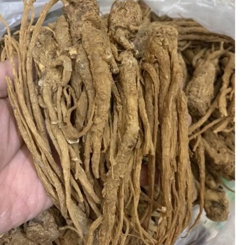 Sâm Đương Quy – 500g 5 Sâm đương quy