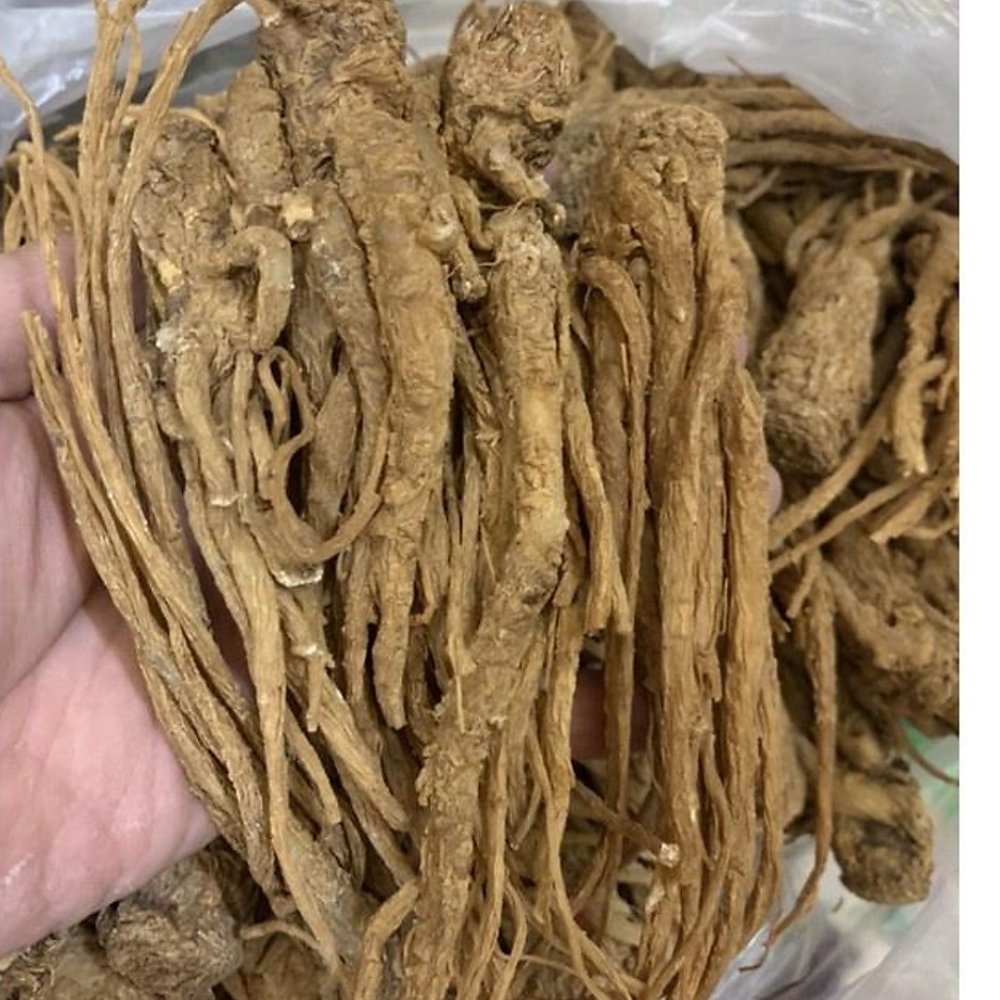 Sâm Đương Quy – 500g 8 Sâm đương quy